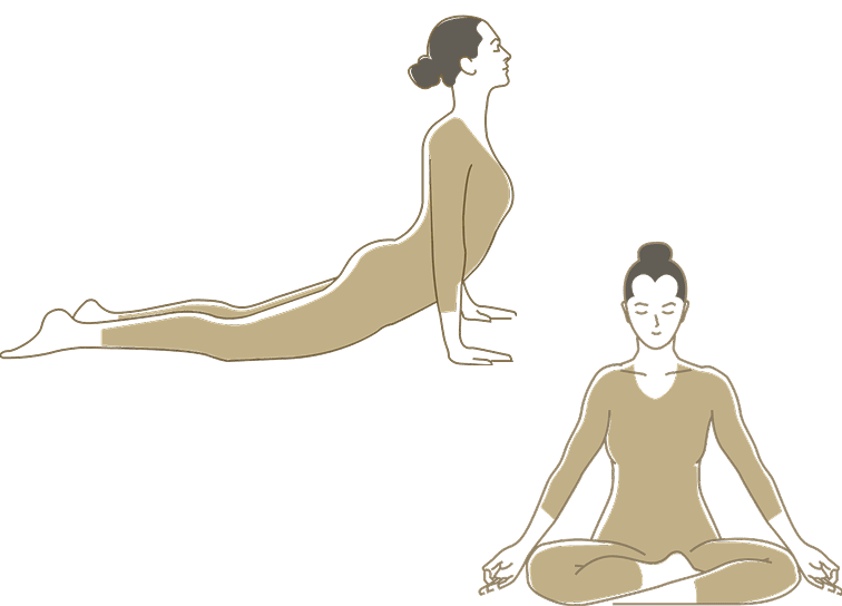 Lifestyle Practice