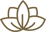 Plan Icon